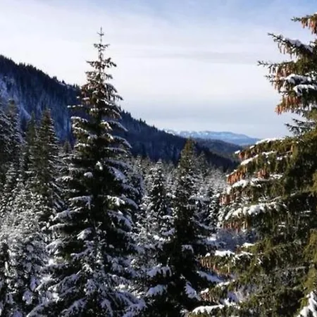 Jelka Apartment Jahorina
