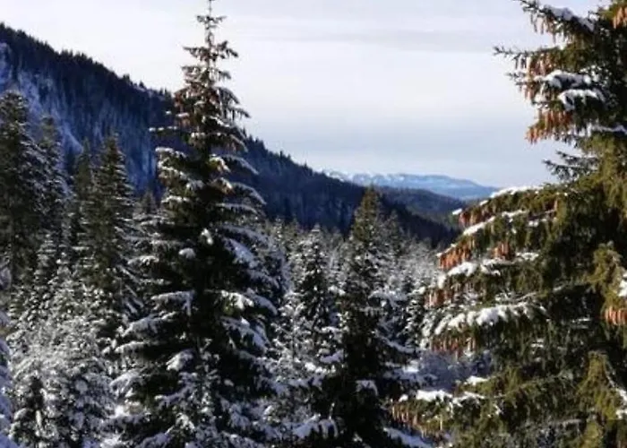 Jelka Apartament Jahorina